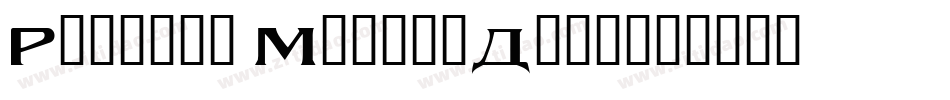 Russkij ModernDemo字体转换